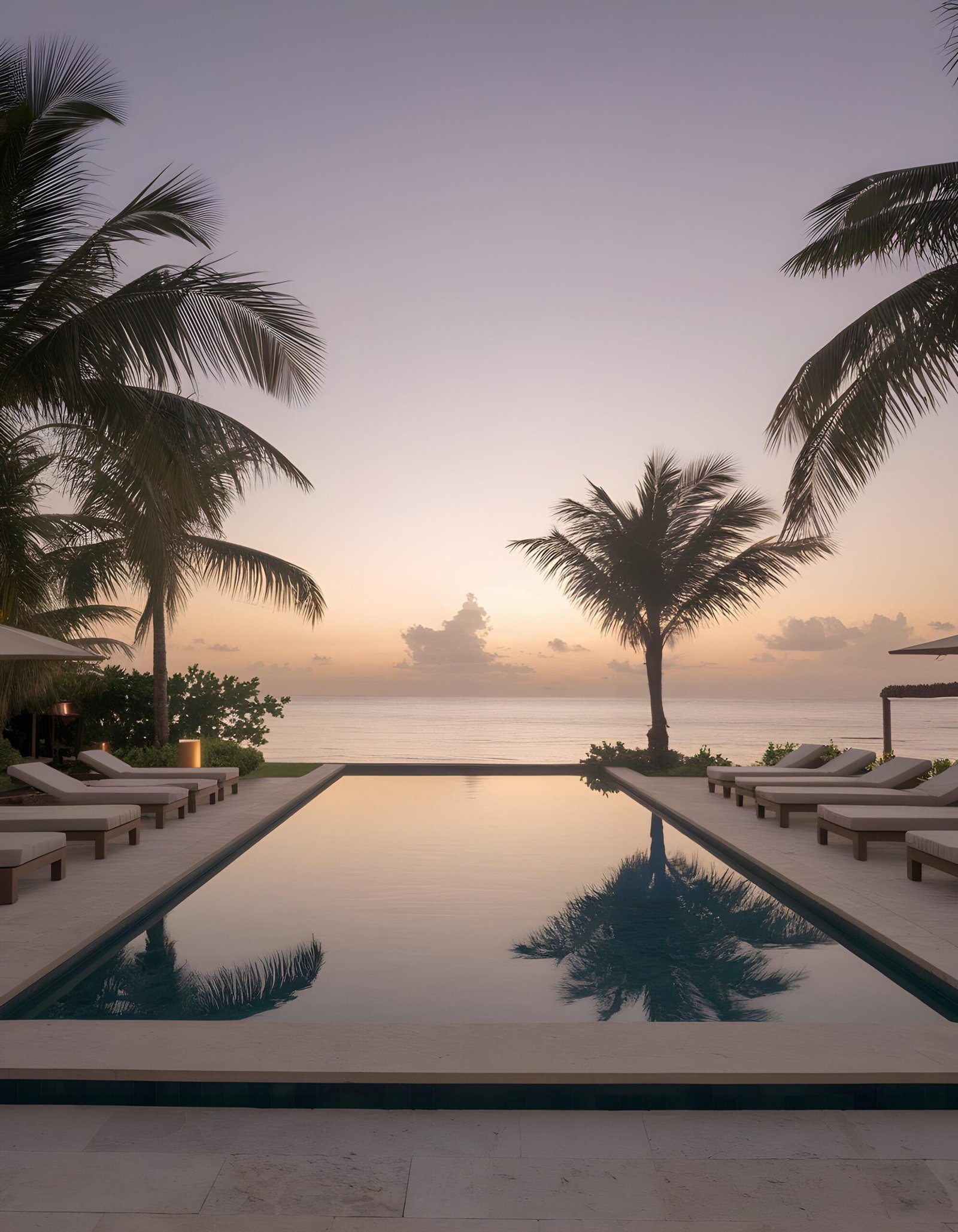 Home infinity pool sunset with palm trees ocean view